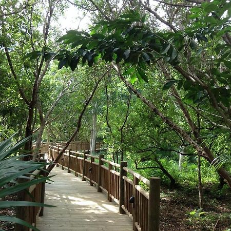 פוארטו מורלוס Mayan Palace Vidanta Resort Riviera Maya מראה חיצוני תמונה