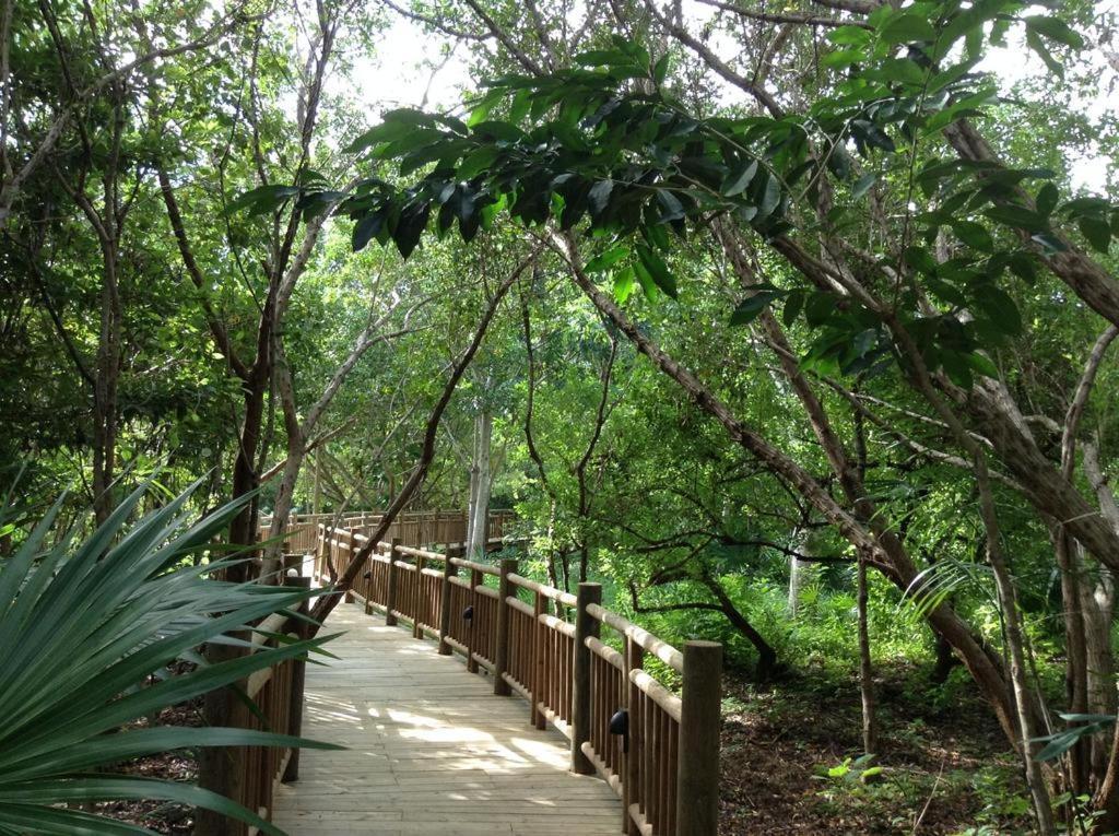 פוארטו מורלוס Mayan Palace Vidanta Resort Riviera Maya מראה חיצוני תמונה